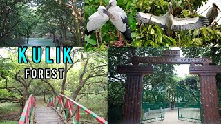 Kulik Forest Raiganj ||  Bird Sanctuary || Raiganj Kulik Park