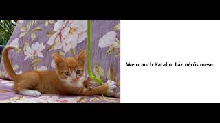 Weinrauch Katalin: Lázmérős mese