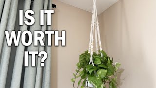 Mkono Macrame Plant Hanger Review - Is It Worth It?