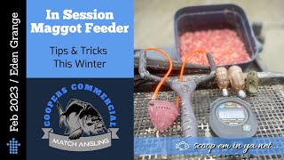 Winter Maggot Feeder Fishing / Eden Grange / In Session Coaching