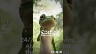 NOOOOO GEICO