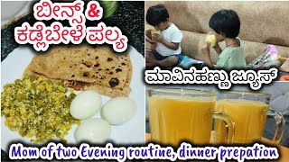 ಮಾವಿನಹಣ್ಣು ಜ್ಯೂಸ್| ಬೀನ್ಸ್ & ಕಡ್ಲೆಬೇಳೆ ಪಲ್ಯ| Mom of two Evening routine, dinner prepation #dailyvlog