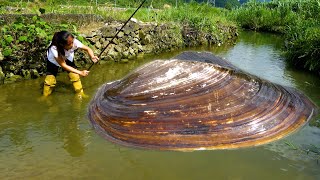 When the weather is good, river clams like to come out and harvest a lot of pearls