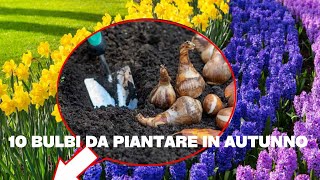 10 bulbi da piantare in autunno