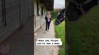 horse She was like‘Oh I have a Kid 😂Best Animals compilation 2021| #shorts | Top Viral Animal Videos