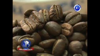 Crafter Coffee una aventura de sabor salvadoreño