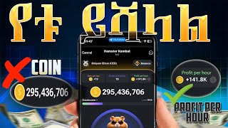 ቶሎ ብላችሁ ይሄንን አስተካክሉ - Hamster Combat [ Profit per hour Vs coin on hamster combat