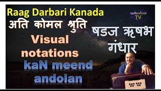 Visualise the Beauty of raga Darbari | Pt Uday Bhawalkar | 22 shruti | atikomal | NadbrahmaTV