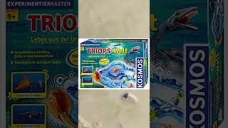 "Dragones de Agua" | Triops