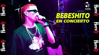 Concierto del Bebesito - Mami , Manguera - San Antonio de los Baños ( Harvyn TV )