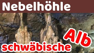 Nebelhöhle | Beeindruckende Schauhöhle😵