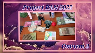 Project PAN 2022 // 3 отчет