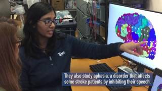 Neuroengineering in Behnaam Aazhang's laboratory