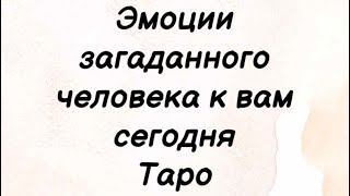 Эмоции загаданного человека к вам сегодня. Таро Расклад