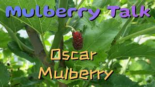 Oscar Mulberry