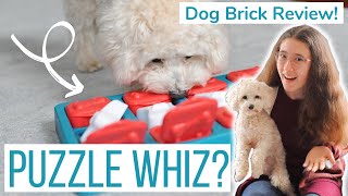 CAN YOUR PUP SOLVE THIS PUZZLE?! | Dog Brick Brain Game Unboxing & Review