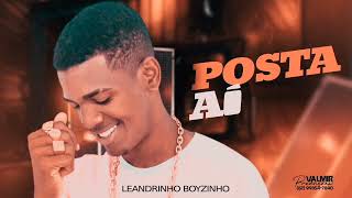 LEANDRINHO O BOYZINHO-  POSTA AÍ ATUALIZADO 2K23