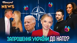 Запрошення України до НАТО? Байден, Трамп і Гарріс в очікуванні Зеленського. Пекучі News