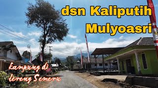 Dusun Kaliputih desa Mulyoasri, Blusukan Menikmati Perkampungan di Lereng Semeru