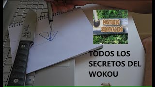 LOS SECRETOS DEL WOKOU / UN CUCHILLO UNICO