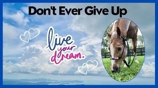 BEAUTIFUL HORSES ~ Dreams 💭really do come true WORTH THE WAIT don't ever give up! #horse 🐎 #shorts