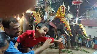 elephants dancing video in mandir. elephant video.  elephant video