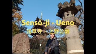 Sensō-ji Temple and Ueno Park in Tokyo (Day 2) - Japan Trip