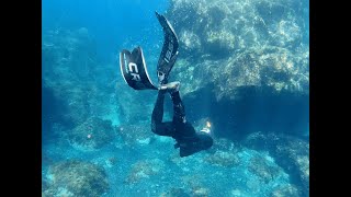 Freediving in Oshima: Dive into the Depths