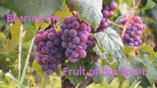 Bearing the Fruit of the Spirit