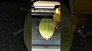 This machine prints the photo on the leaf #shortsvideo