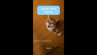 Doug Gets Stuck