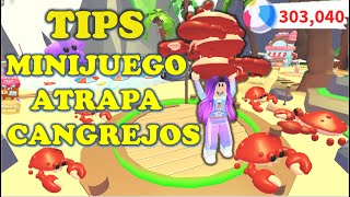 TIPS COMO GANAR PELOTAS DE PLAYA ILIMITADAS en MINIJUEGO ATRAPACANGREJOS 🦀 ADOPT ME ROBLOX