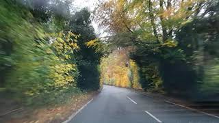 Driving in Surrey