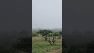 African sunset and rain#africa #hunting