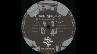 David Spanish - Hero With 1000 Faces (Distangled)