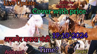 19-10-2024 AJMER BAKRA MANDI LIVE UPDATE||RAJASTHAN GOAT MARKET LATEST UPDATE COVER WITH PRICE