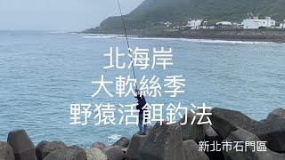 [北海岸釣點分享]  北海岸 草里漁港 大軟絲季 釣況分享  野猿釣法 軟絲 活餌釣法     大軟絲季  石門在地人的釣魚秘境！！ 記得 訂閱 才能收到第一手釣況資訊 謝謝！！