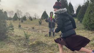 Picking out our Christmas tree at our neighbor’s tree farm