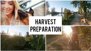 IT'S FINALLY READY!! maze harvest is finally here| how we prepare for harvesting