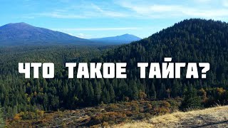 Что такое Тайга?