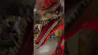 Jurassic Ripoff Lubbock Texas