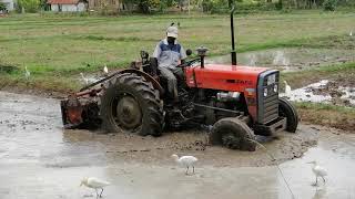 Tafe 45 di  tractor stuck in mud  sri lanka#srilanka