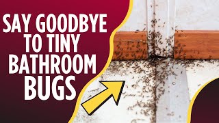 How to Get Rid of The Tiny Bugs in Bathroom?