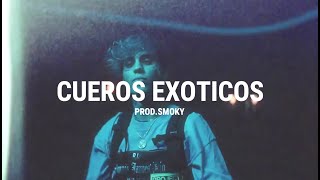 [FREE] C.R.O x FRANKY STYLE TYPE BEAT "CUEROS EXOTICOS" | C.R.O x DUKI TYPE BEAT