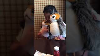 Getting to know Porg