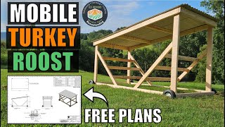 Building a new home for our Turkey Poults!