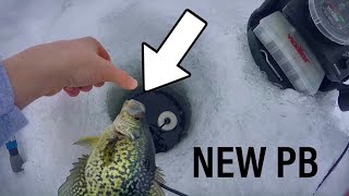 Ice Fishing for GIANT CRAPPIES!! (Non-Stop Action!)