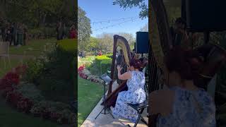 Unchained Melody by The Righteous Brothers | Harp Cover