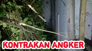 Horor ! Suasana Kontrakan 7 Tahun Terbengkalai