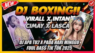 BOXING VIRALL INTAN CIMAY X LASCA!! DJ APATUH APATUH X PADA HARI MINGGU - JUNGLE DUTCH TIK TOK 2025